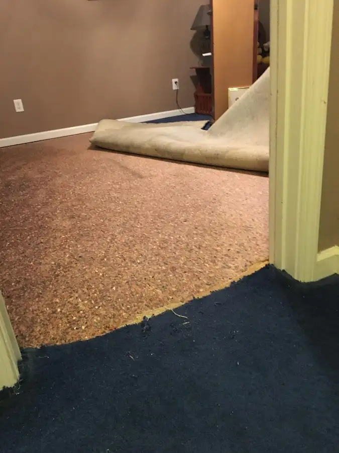 Carpet pad removal revealing water damage during Drying & Dehumidification in Litchfield Beach