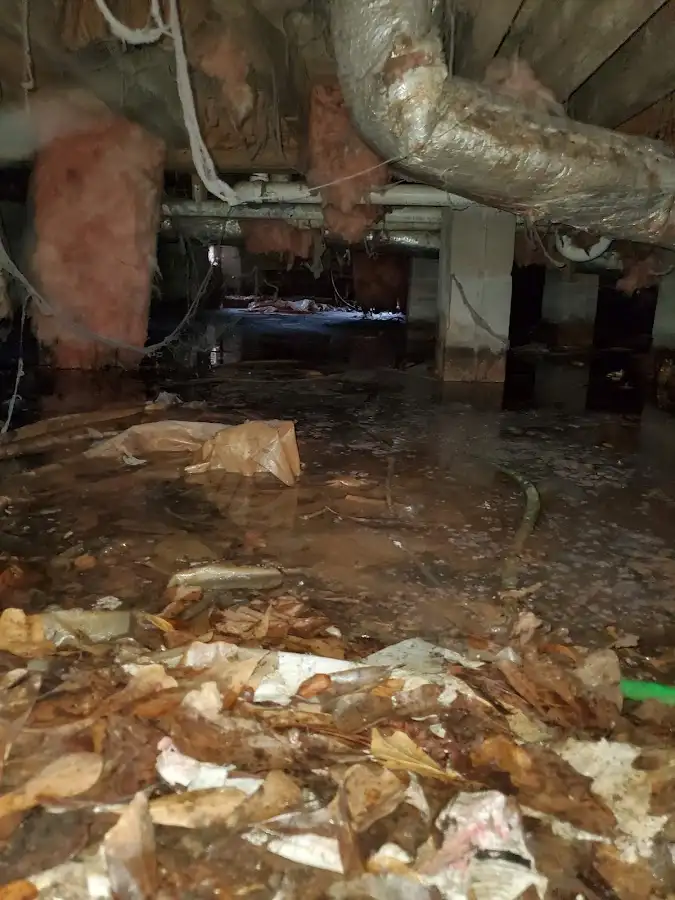 Crawl space flood assessment for Commercial Water Damage Restoration in Litchfield Beach